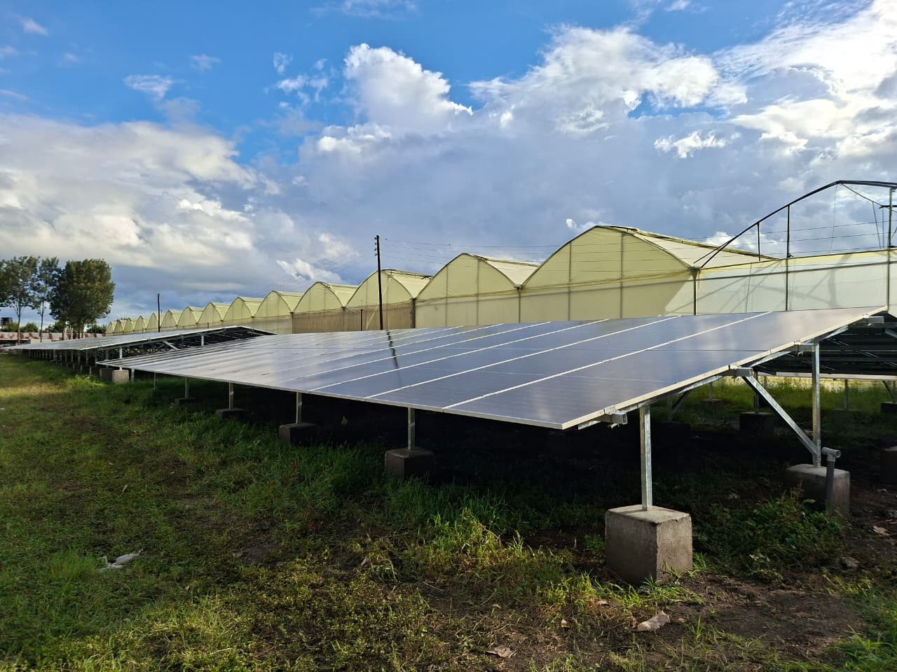 321kWp Grid-Tied image 154